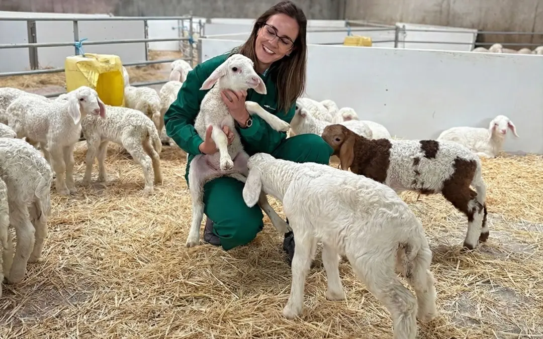 Almudena, única mujer en la Mesa del Lechazo, reivindica su papel: “Estar allí ya es un logro”